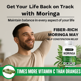 Parnik Naturals Moringa Capsules 60 – Ayurvedic Vegan Herbal Supplement for Immunity, Energy, Detox & Weight Loss