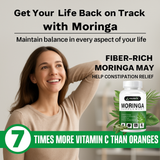 Parnik Naturals Moringa Capsules 60 – Ayurvedic Vegan Herbal Supplement for Immunity, Energy, Detox & Weight Loss