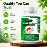 Parnik Naturals Liver Detox + Capsules – 60 Count | Ayurvedic Cleanse for Fatty Liver, Detox & Toxin Removal