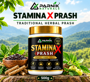 Parnik Naturals Stamina X Prash 500g — a traditional Ayurvedic-inspired herbal wellness formula for adult men, presented in a convenient Prash format for everyday herbal wellness routines.