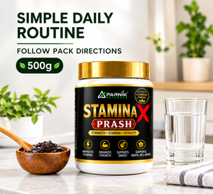 Parnik Naturals Stamina X Prash 500g — a traditional Ayurvedic-inspired herbal wellness formula for adult men, presented in a convenient Prash format for everyday herbal wellness routines.