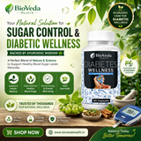 BioVeda Health Diabetes Wellness Capsules – Natural Herbal Support for Healthy Blood Sugar & Everyday Wellness
