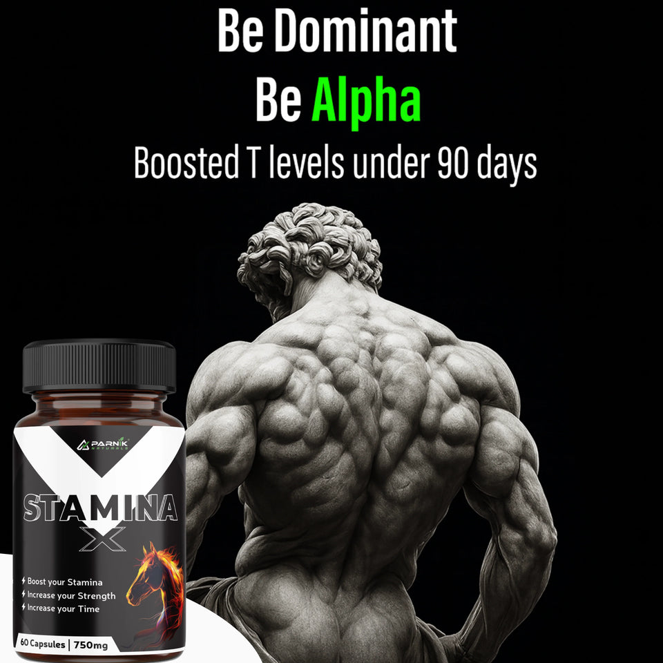 Parnik Naturals Stamina+ for Men 750mg | Energy, Strength & Testosterone Booster – 60 Capsules